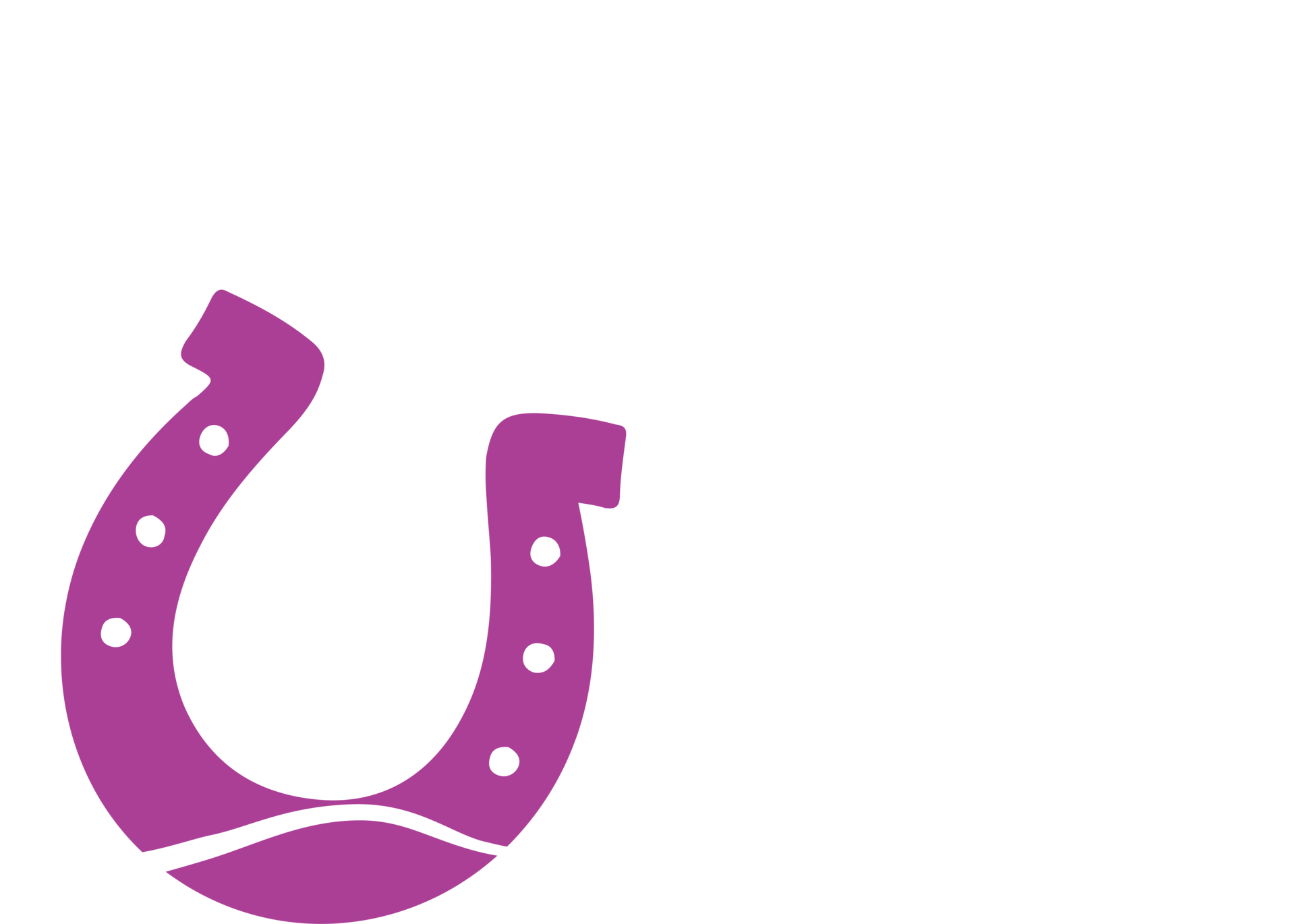 ivsa-logo